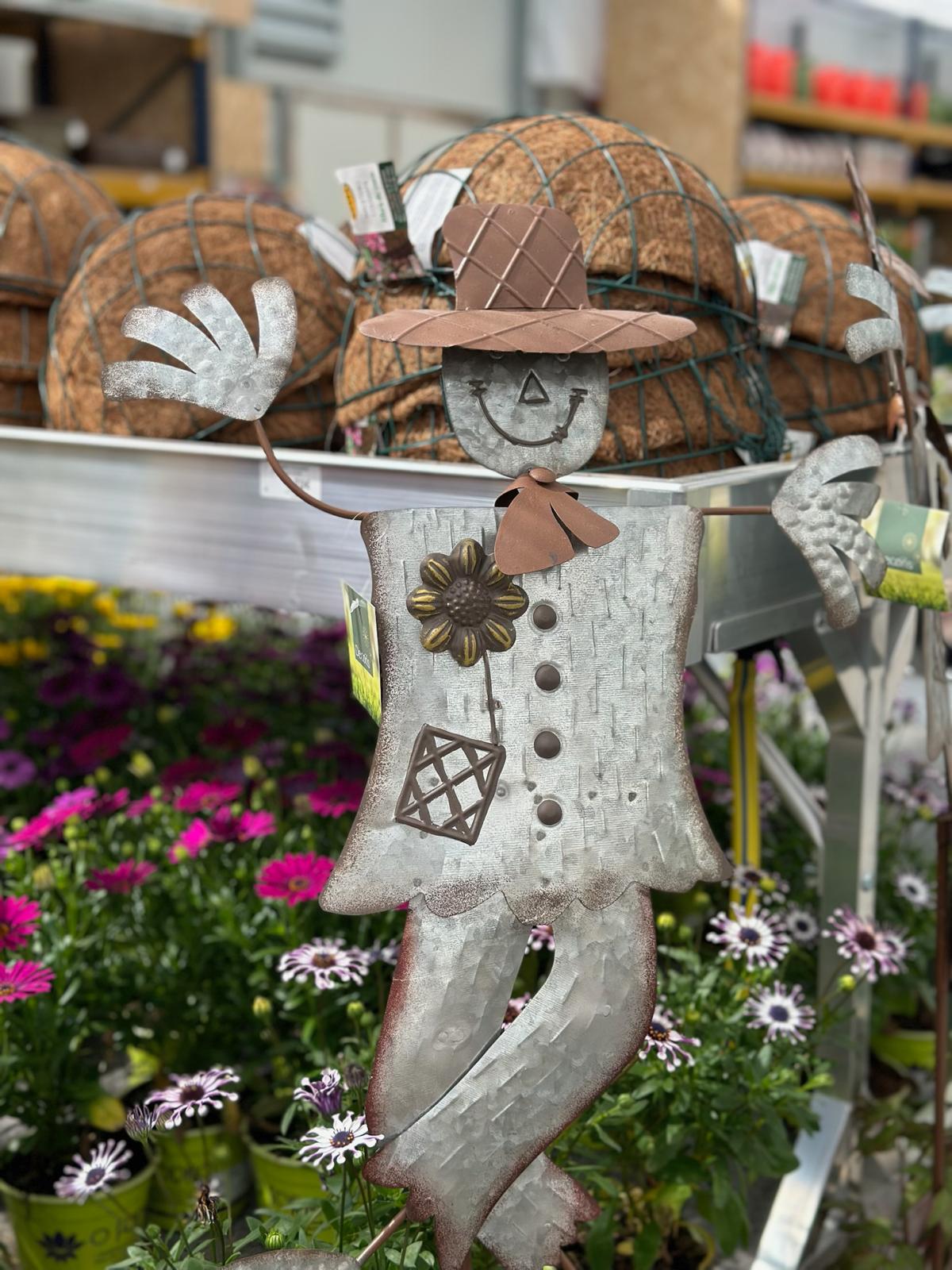 Oforno Garden, tu tienda de jardinería, plantas y decoración