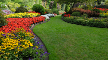 Errores comunes en jardinería (y cómo evitarlos)