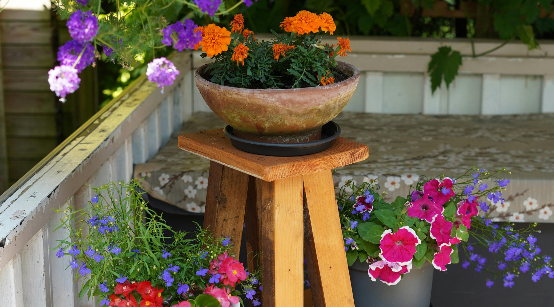 5 plantas que florecen todo el verano