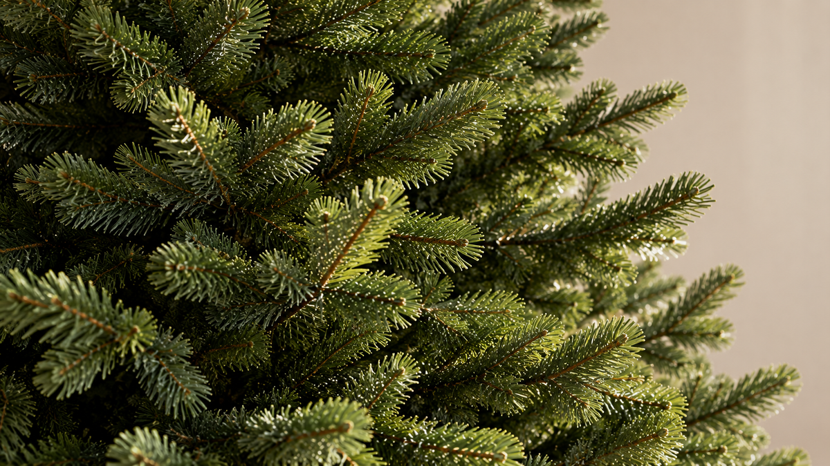 Árboles de Navidad verdes