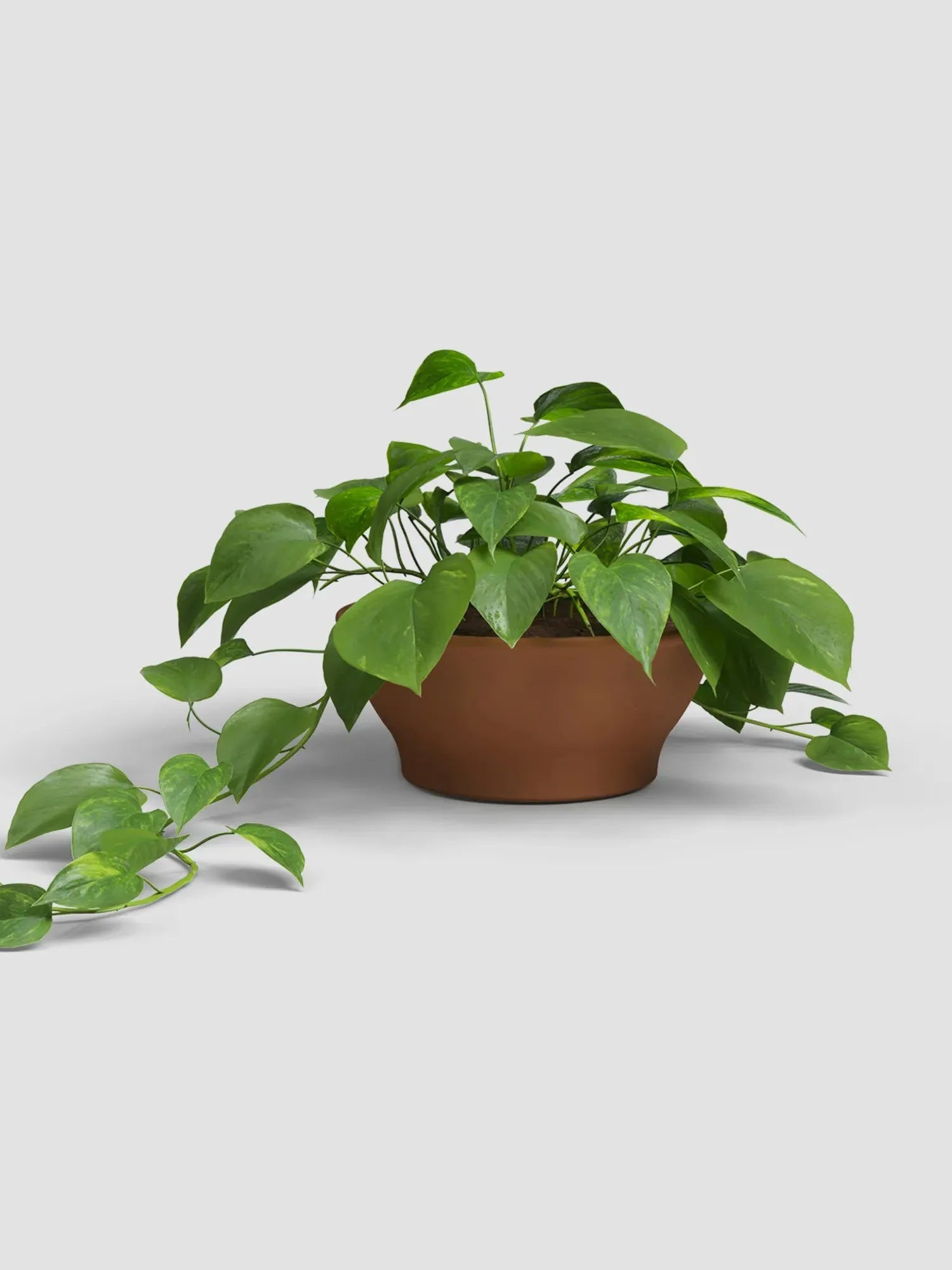 BOL SARAMAGO 23CM NATURAL