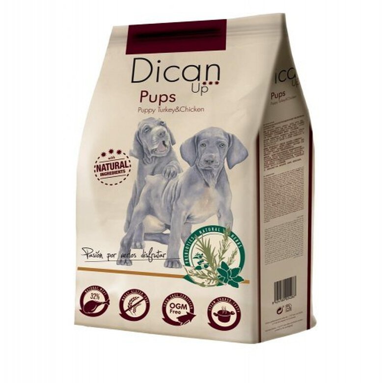 DICAN UP PUPS 3KG