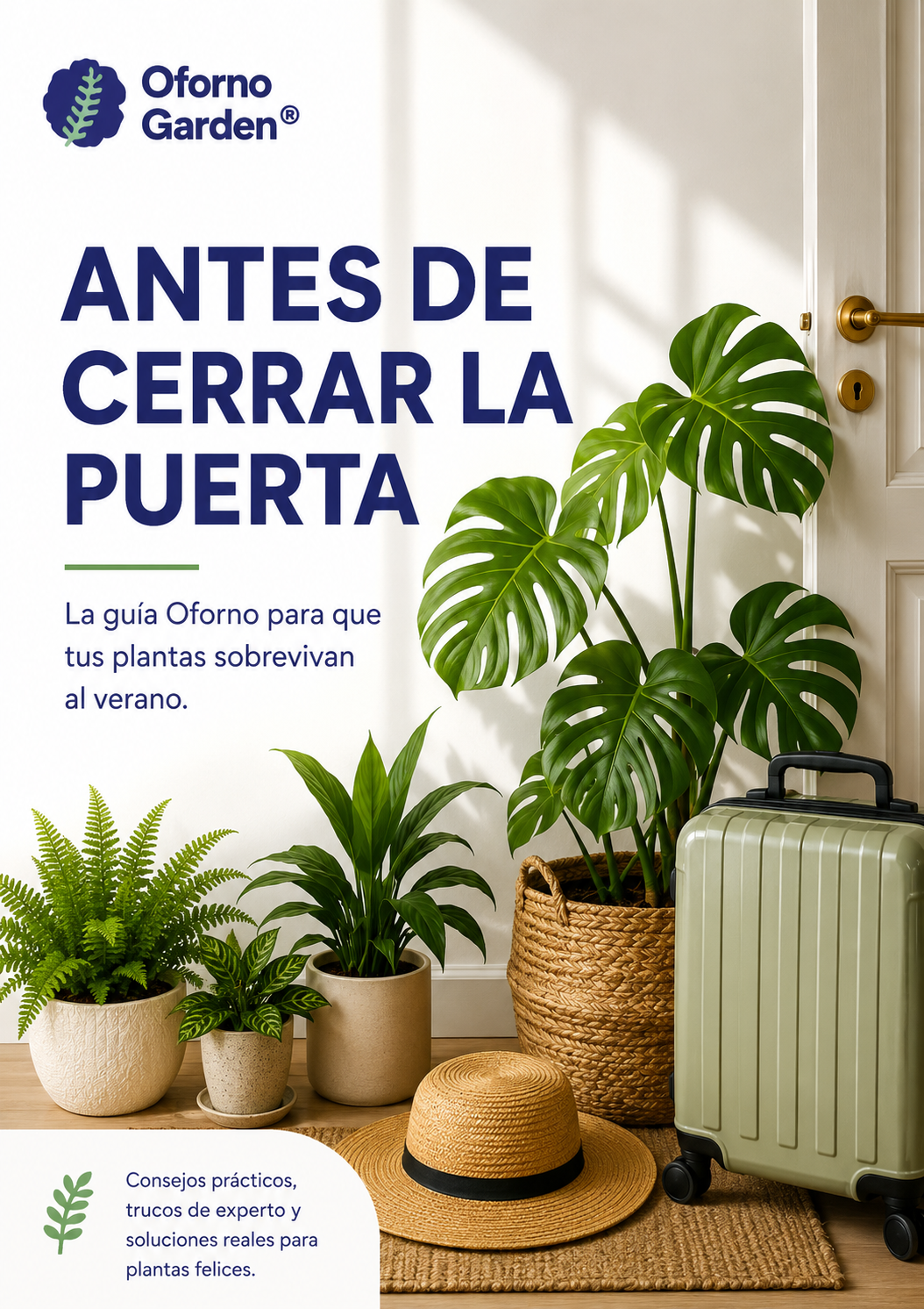 Guía de verano · Cuida tus plantas durante el calor y las vacaciones