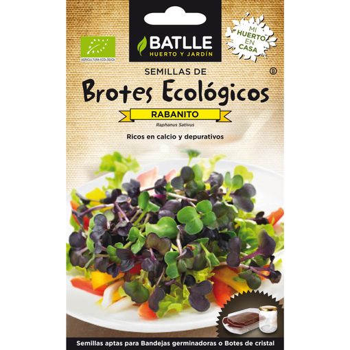 BROTES RABANITO ECO