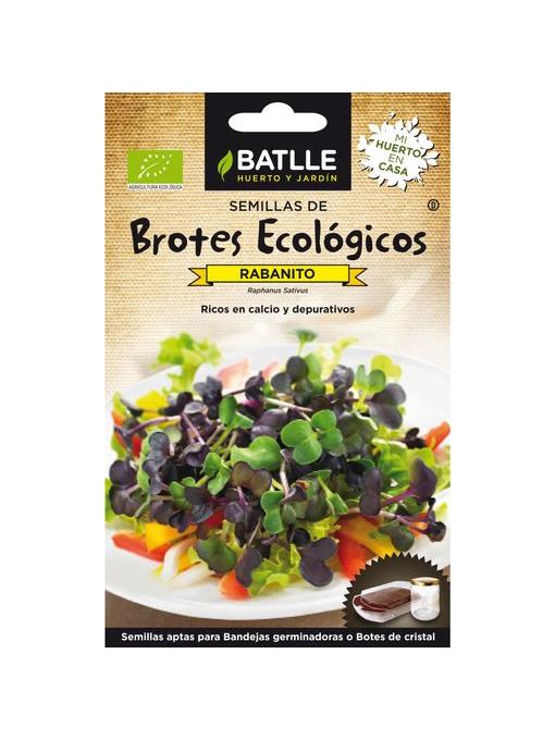BROTES RABANITO ECO