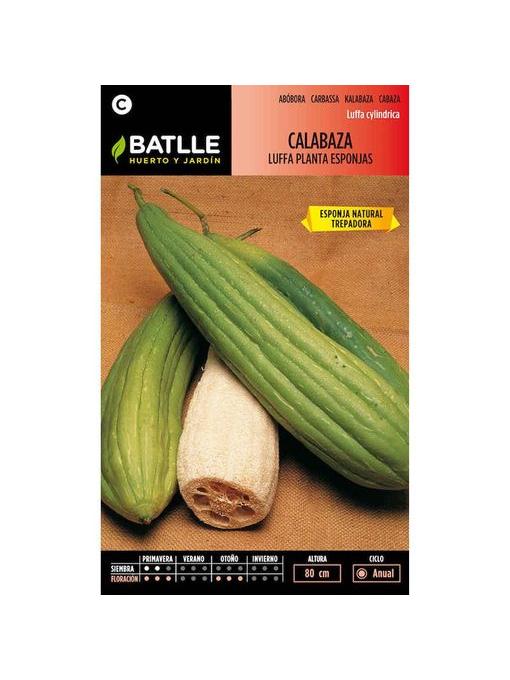CALABAZA LUFFA PLANTA ESPONJAS