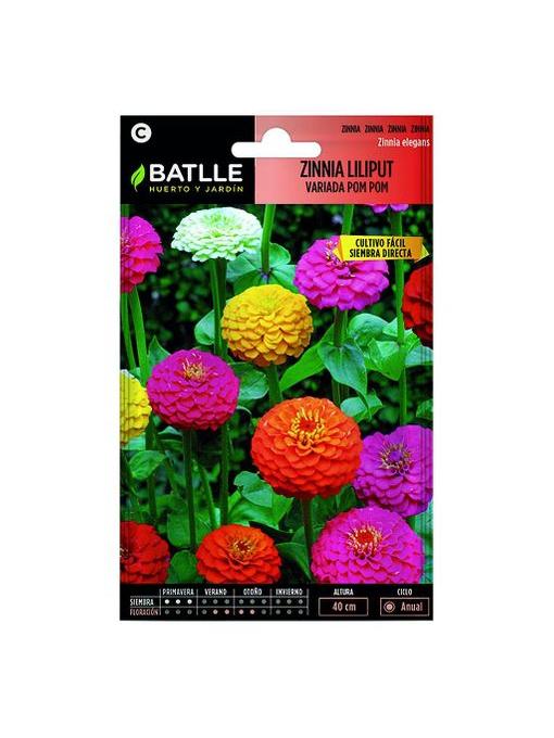 ZINNIA LILIPUT VARIADA POM POM