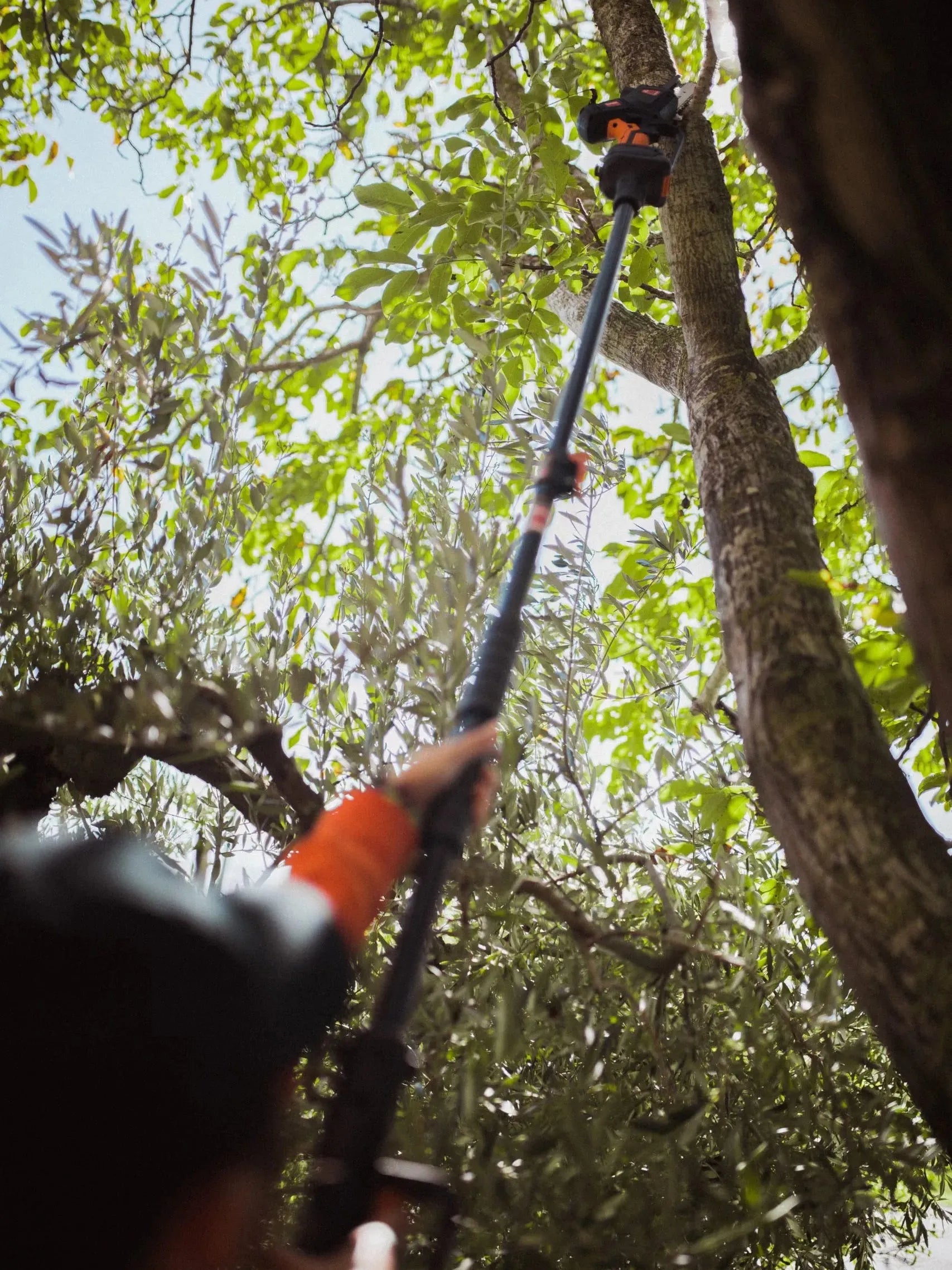 PERTIGA TELESCOPICA HASTA 250 CM