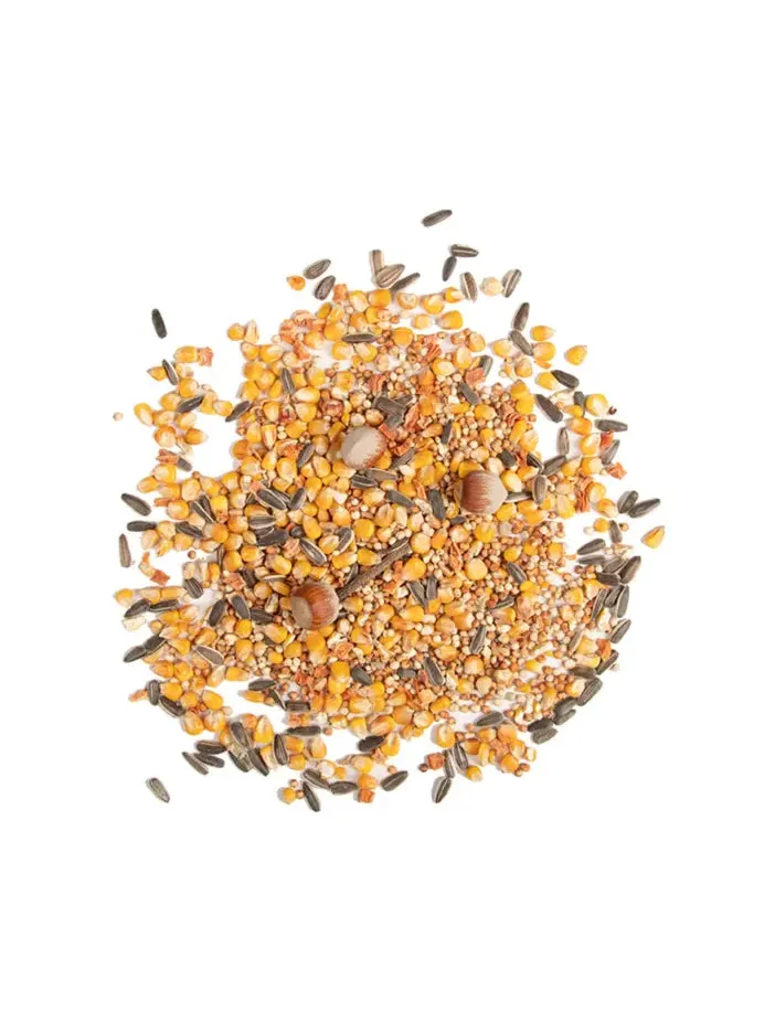 COMIDA ARDILLA