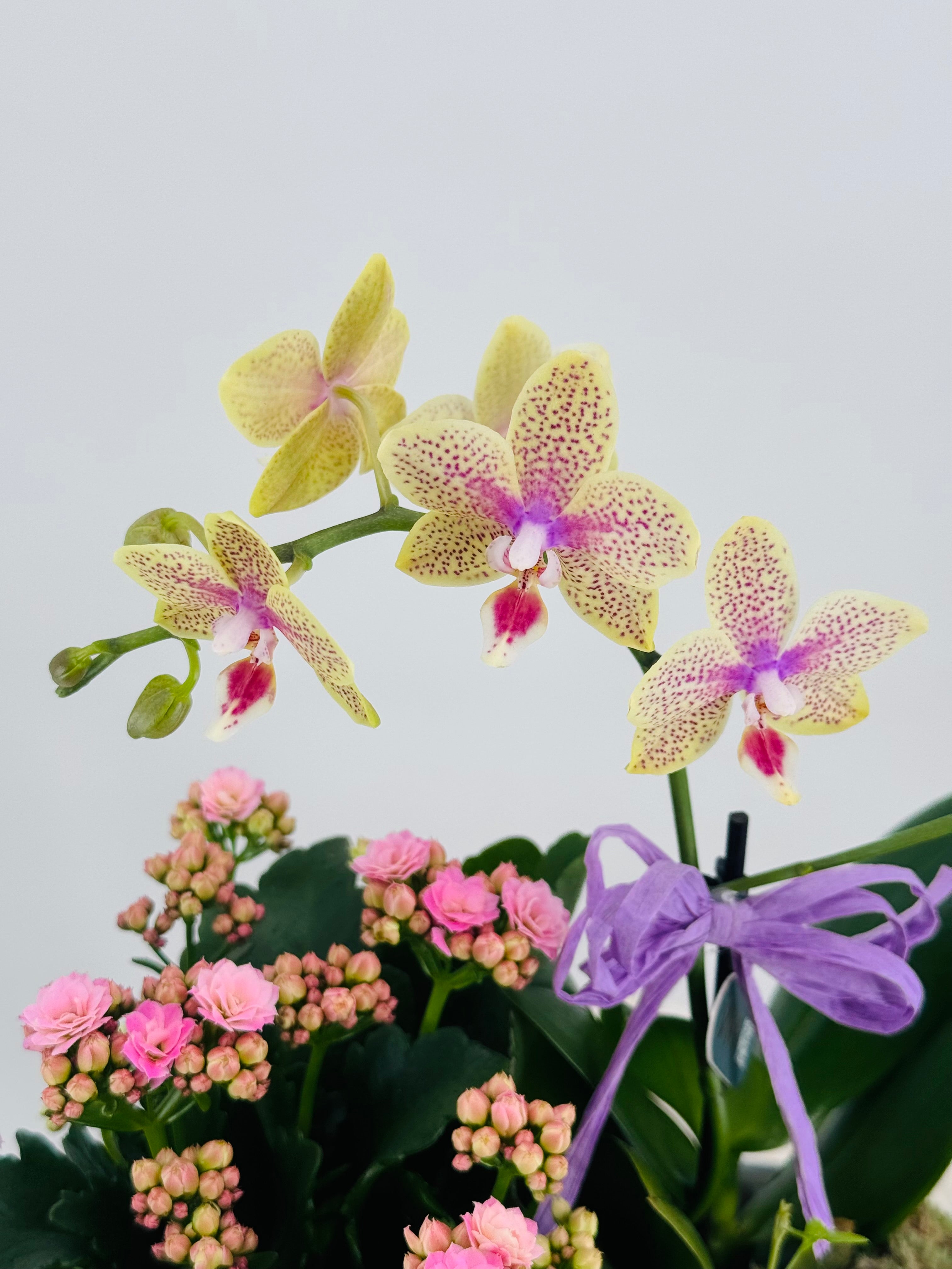 COMPOSICION FLOR 29,95