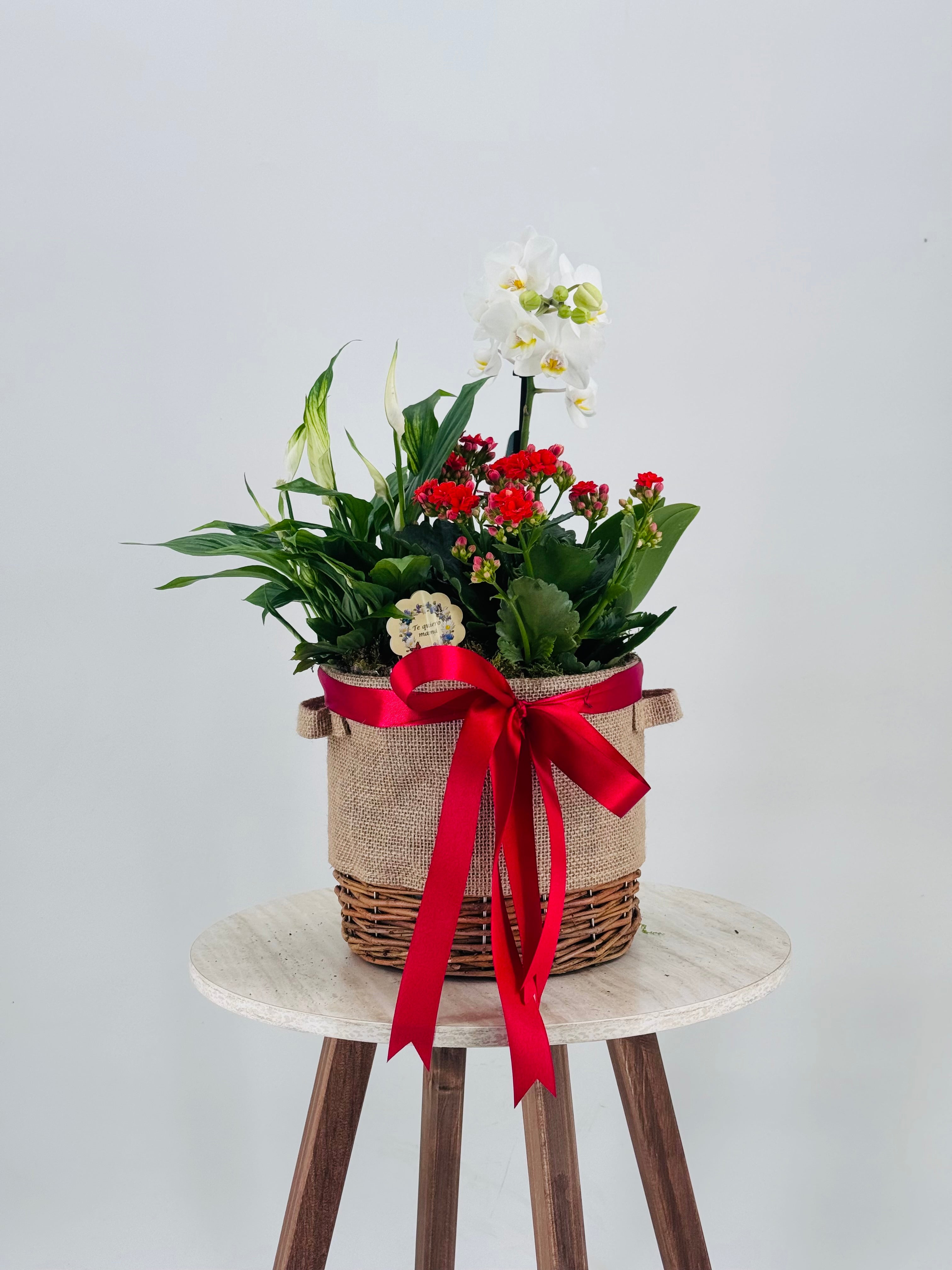 COMPOSICION FLOR 39,95