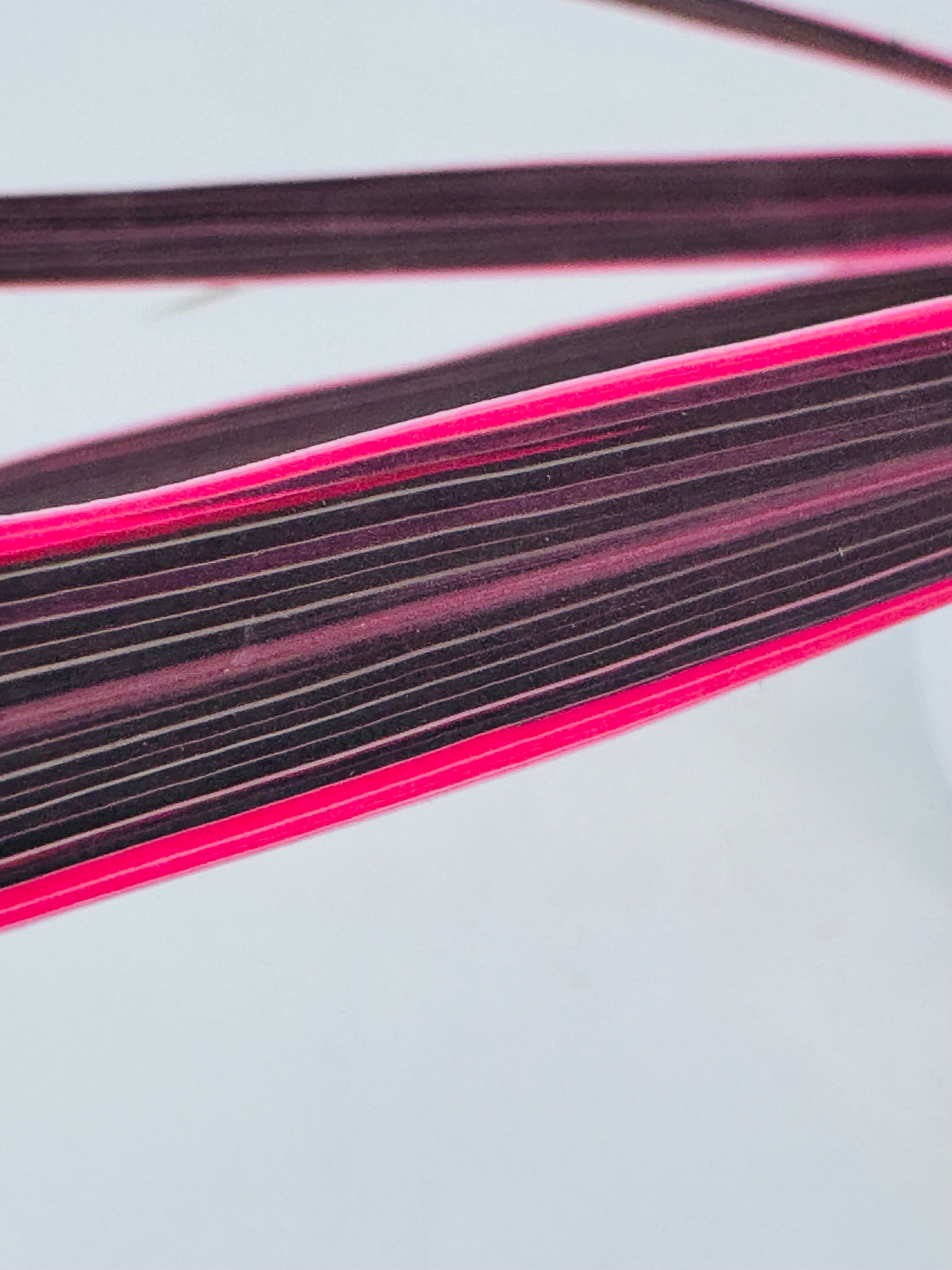 CORDYLINE PINK PASSION C27