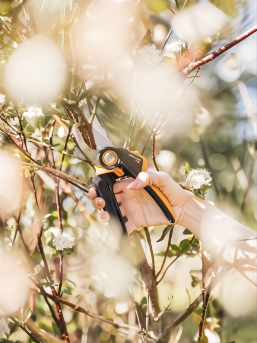 Mano usando tijera de podar Fiskars X-Series P921 negra y naranja para cortar ramas finas.