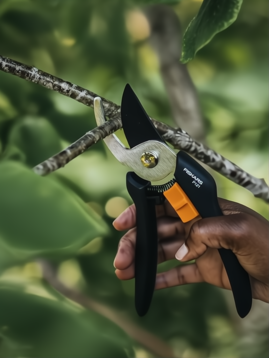 Mano podando una rama con tijera Fiskars P121 negra y naranja, con hoja plateada y mango ergonómico.