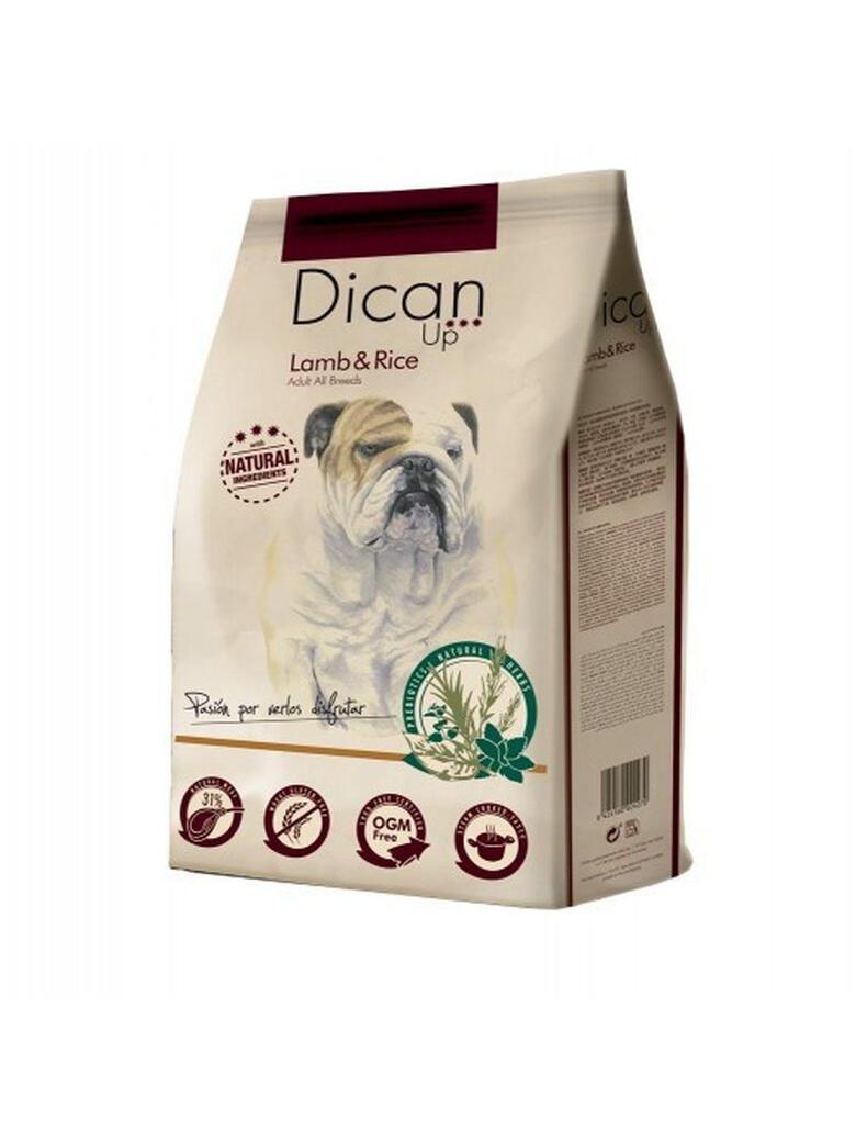 DICAN UP LAMB & RICE 3KG