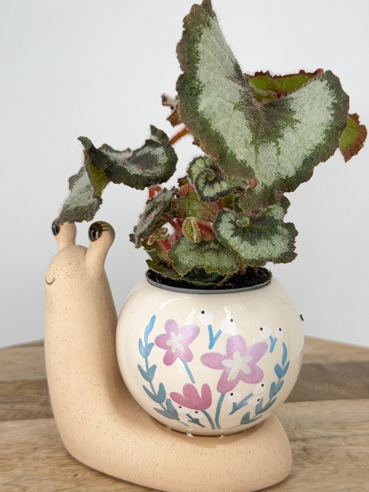 PLANTER DOLOMITE SNAIL MATTE BODY WITH SHINY BALL
