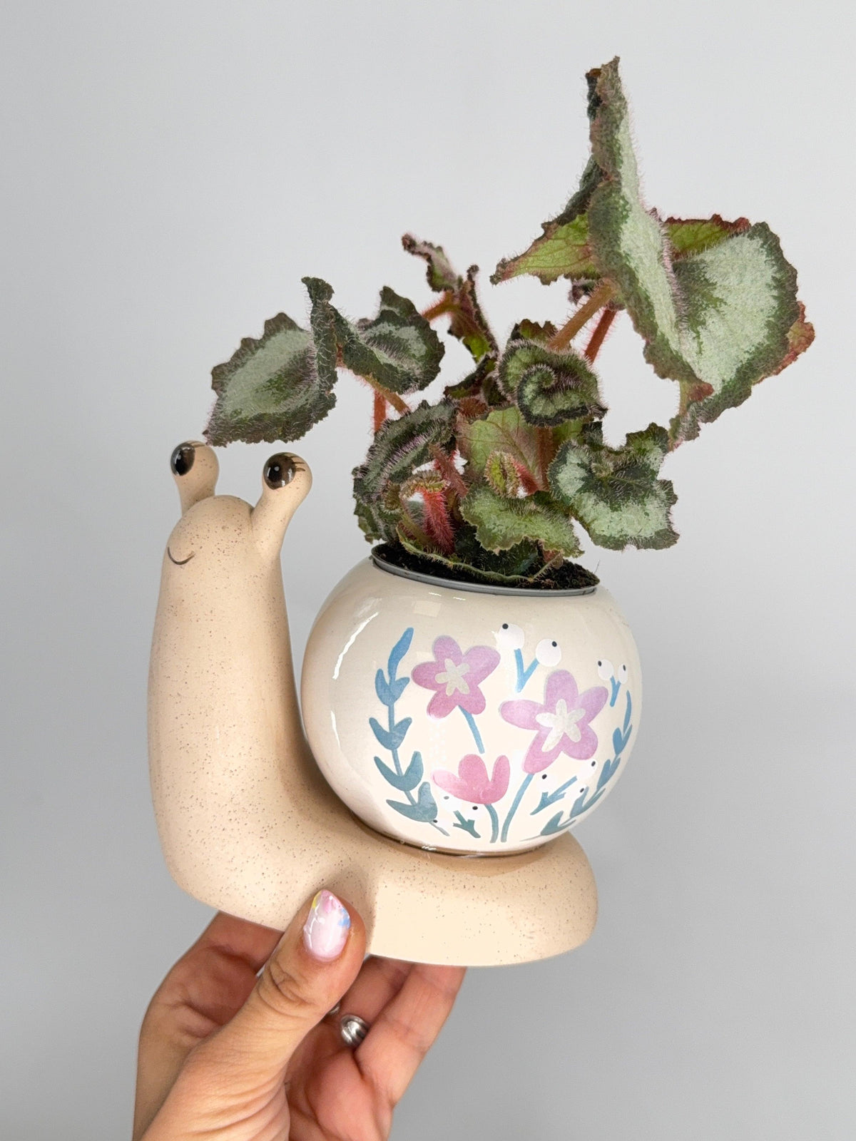 PLANTER DOLOMITE SNAIL MATTE BODY WITH SHINY BALL