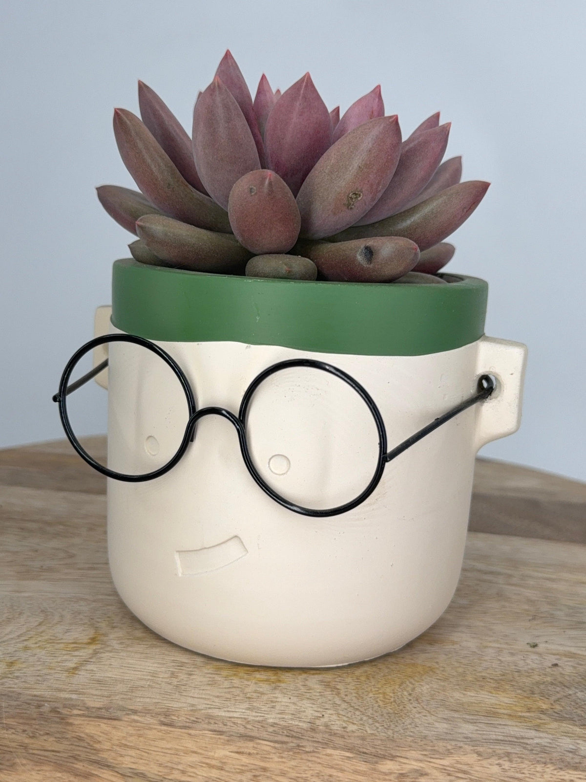 MACETA HARRY GAFAS M10.5