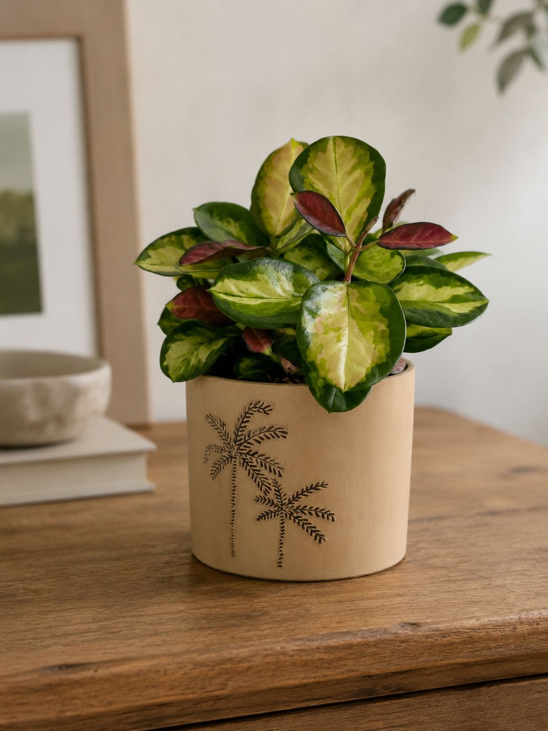 MACETA PALMERAS MARRON 13CM