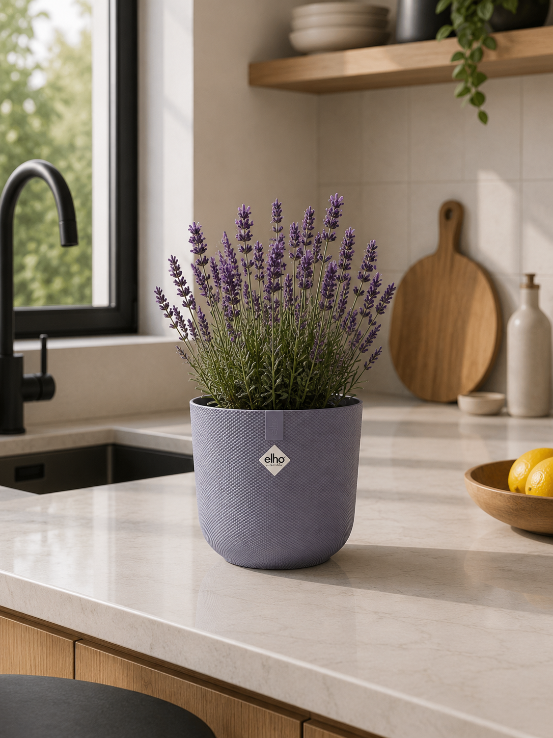JAZZ ROUND LAVENDER LILAC