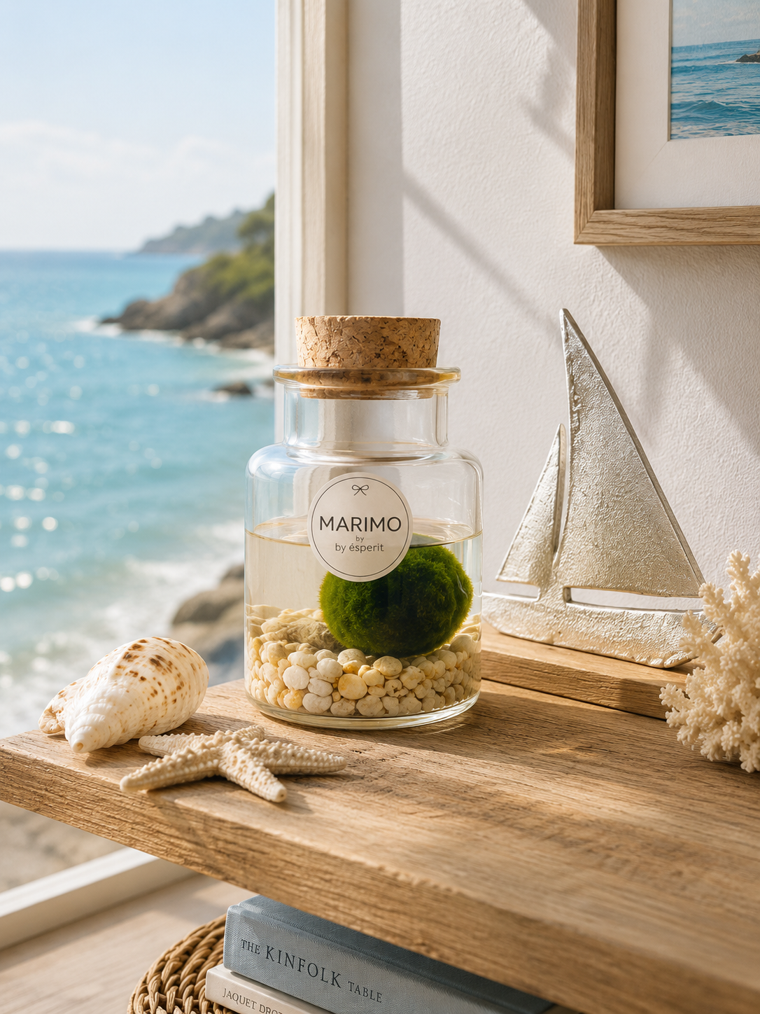 MARIMO DECORATIVO