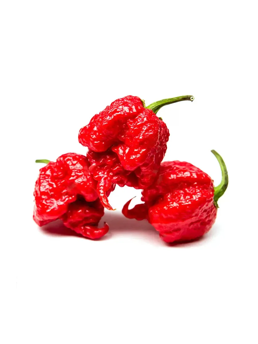 PIMIENTO PICANTE CAROLINA REA