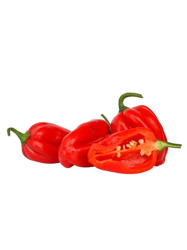 Pimientos habanero rojos enteros y uno cortado por la mitad, mostrando semillas y pulpa.