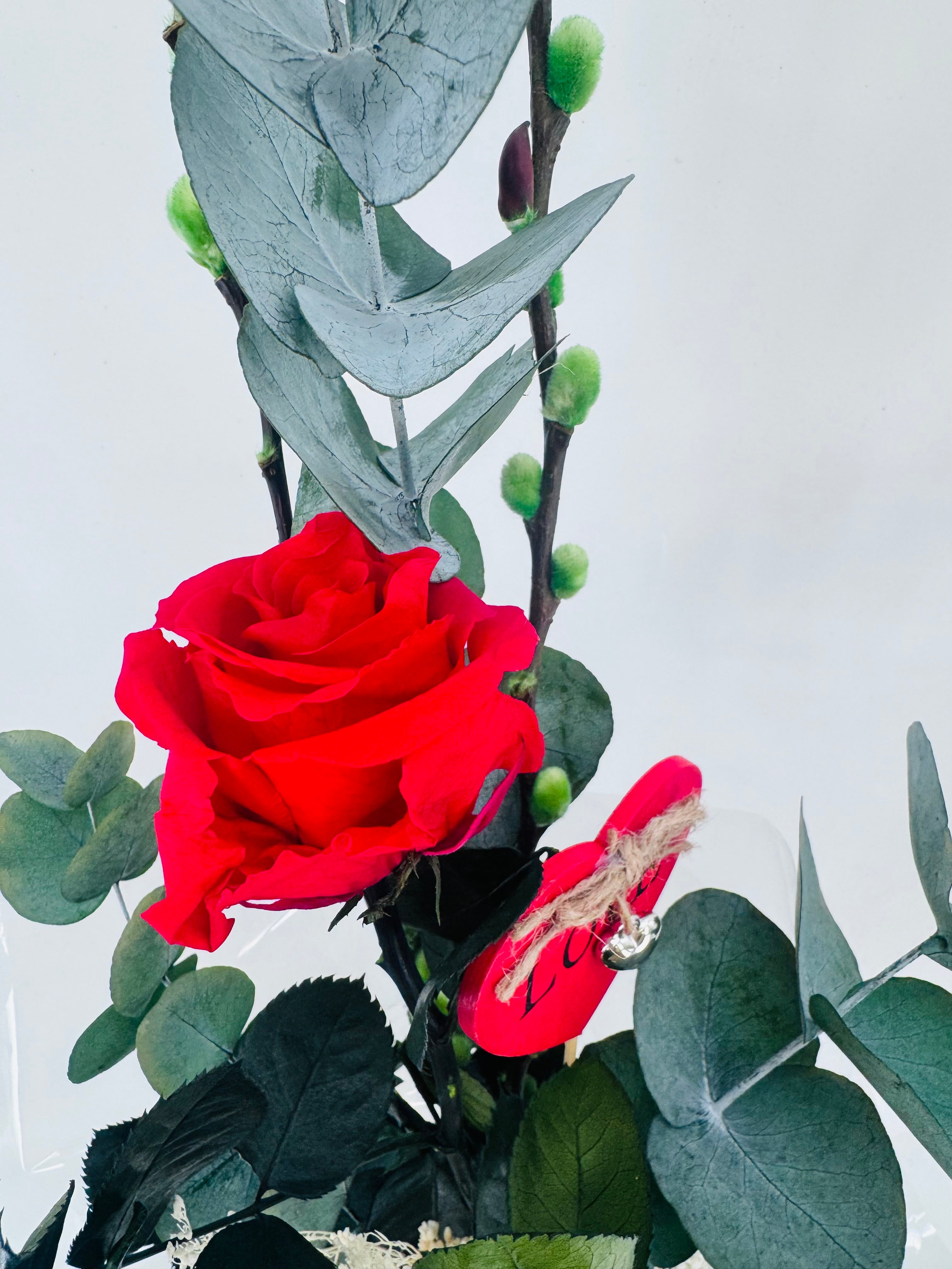 ROSA PRESERVADA PREPARADA