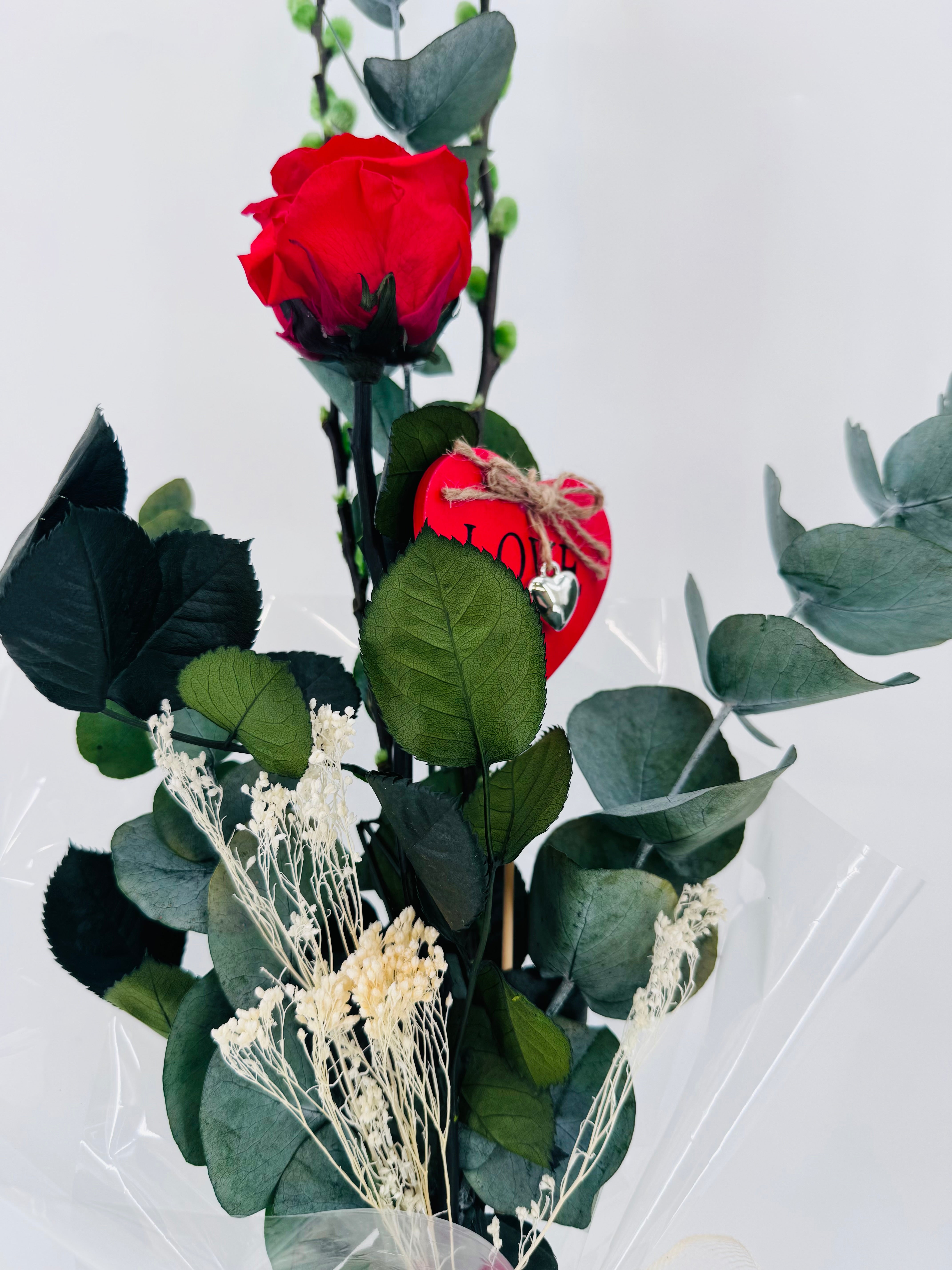 ROSA PRESERVADA PREPARADA