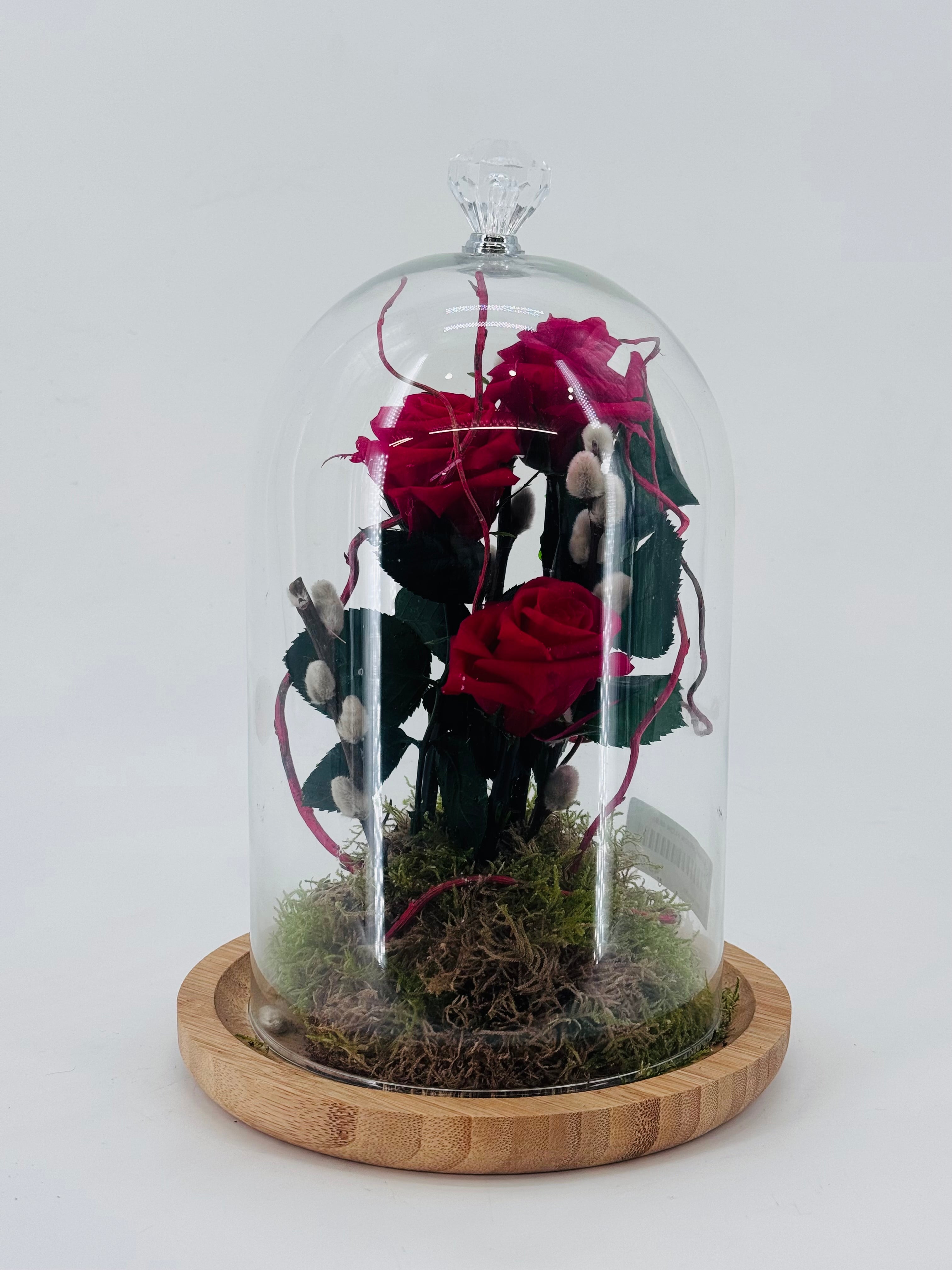 ROSA PRESERVADA PREPARADA EN CÚPULA 30CM