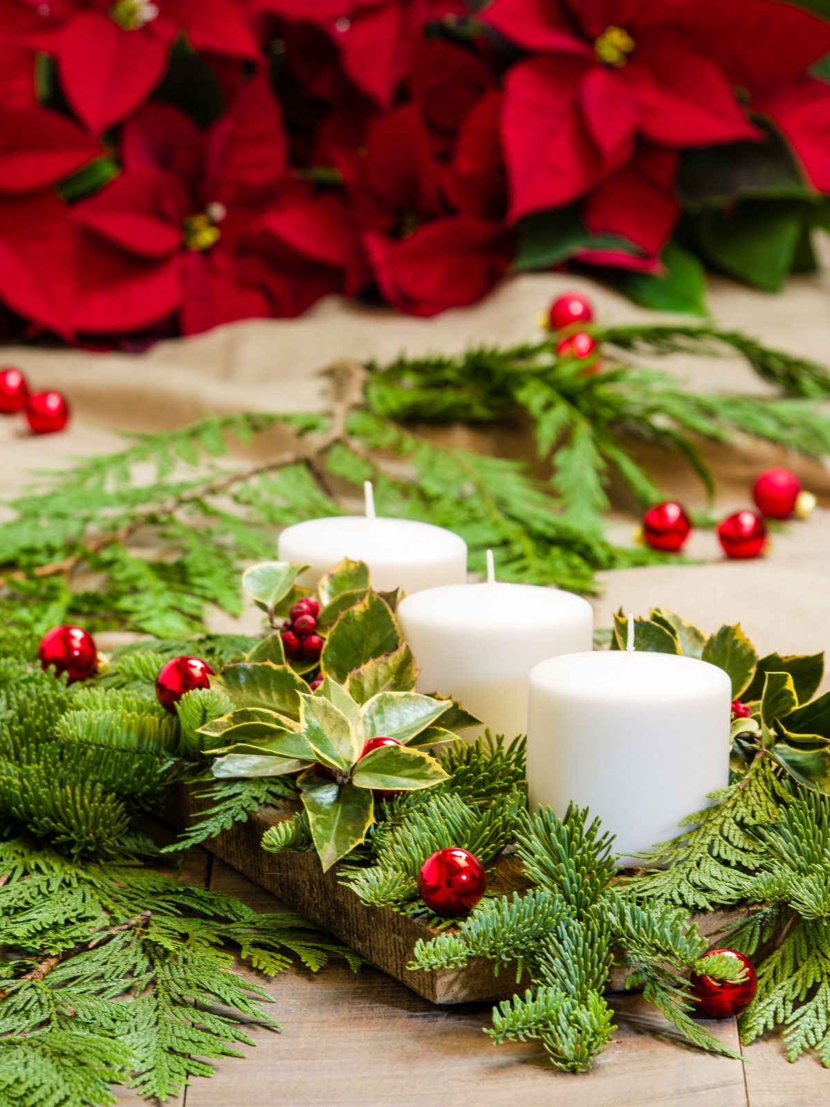 TALLER CENTROS NAVIDEÑOS SANTIAGO