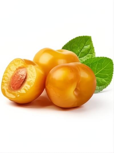CIRUELO MIRABEL C25
