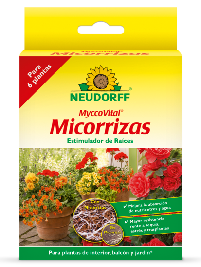 ESTIMULADOR RAICES MYCCOVITAL