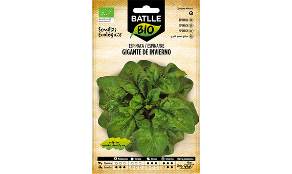 ESPINACA GIGANTE DE INVIERNO-ECO