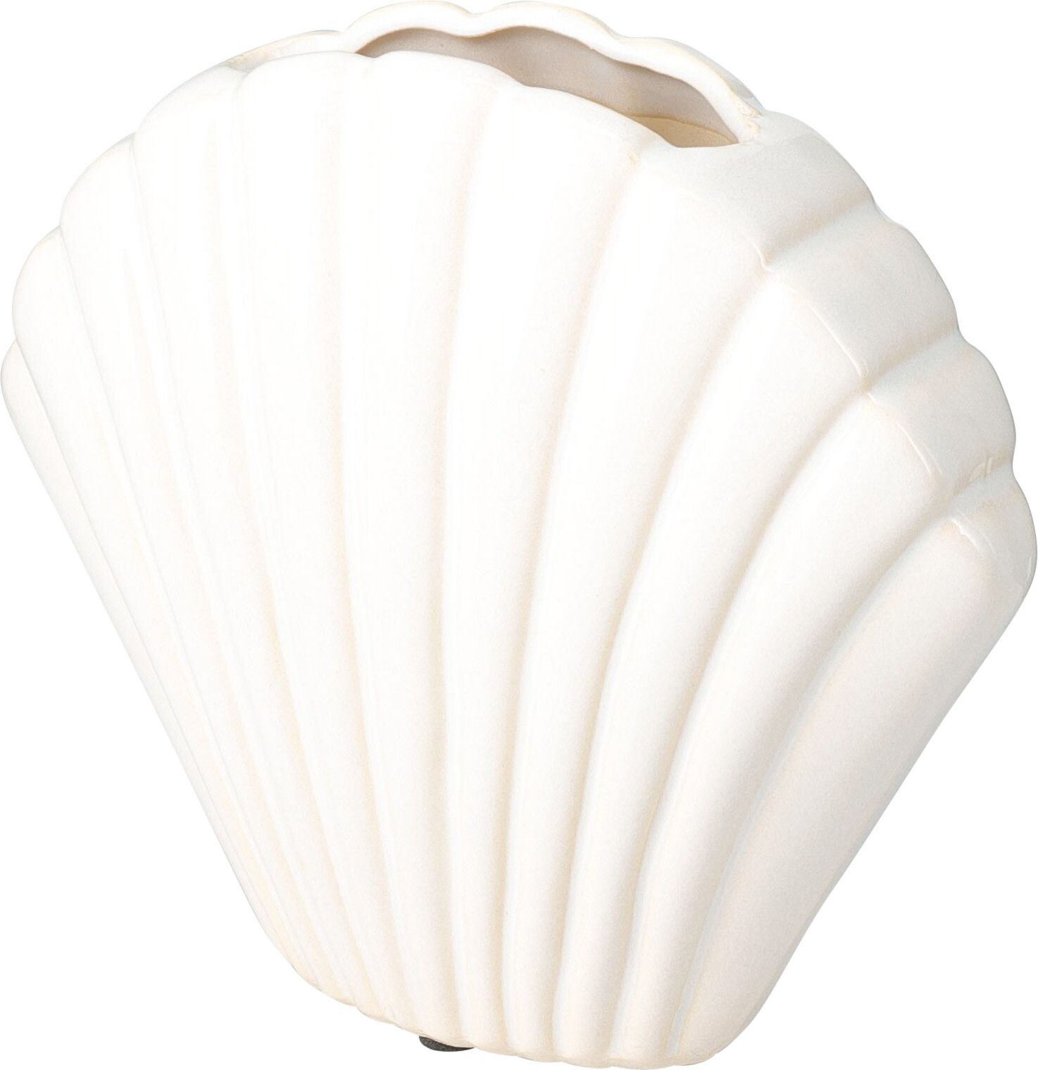CONCHA DE VASO 17X15,5 CM BLANCA