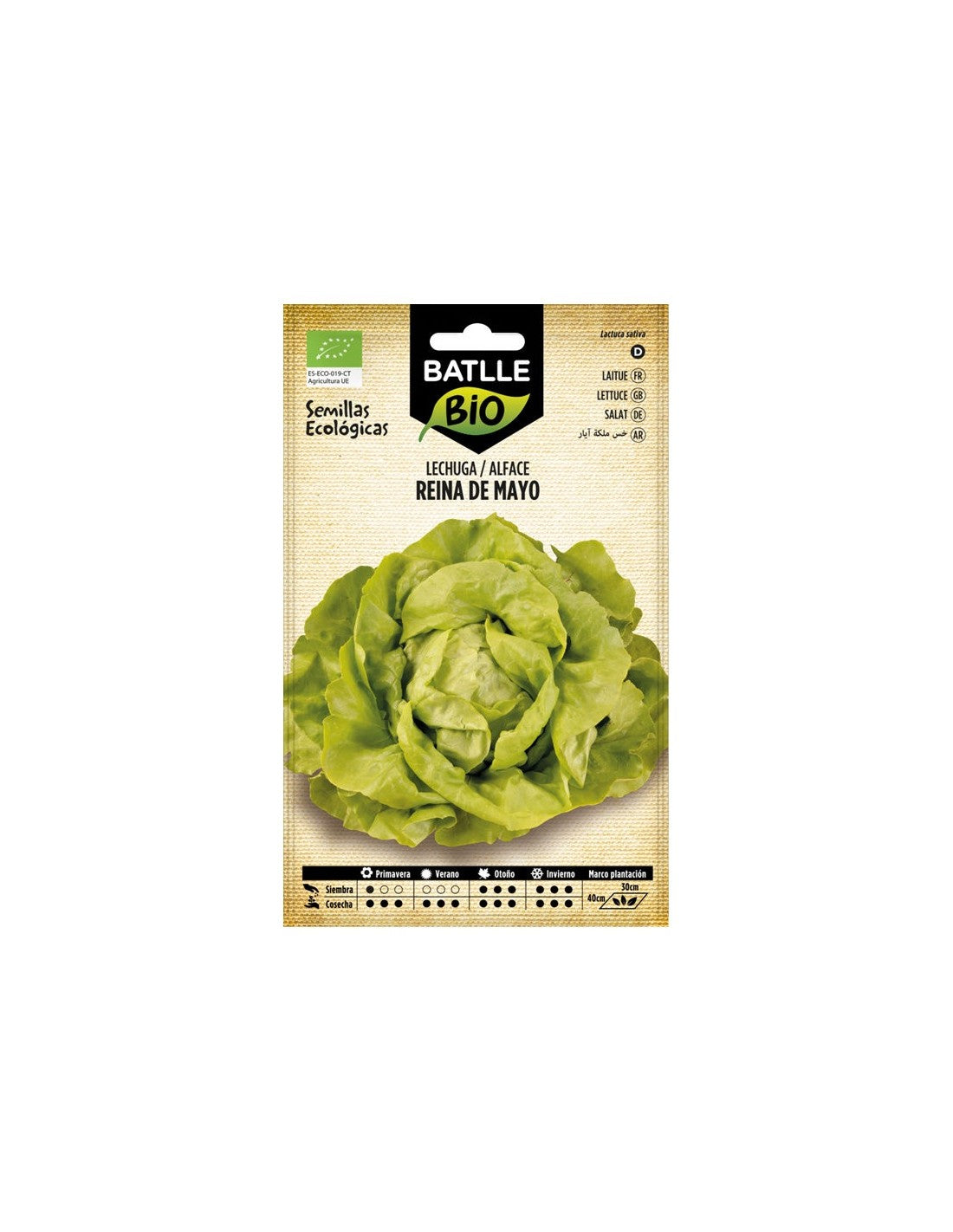 LECHUGA REINA DE MAYO - ECO