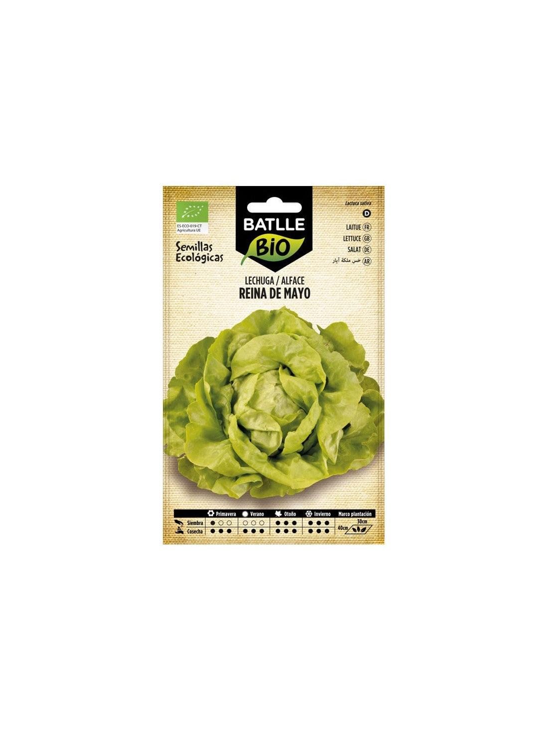 LECHUGA REINA DE MAYO - ECO