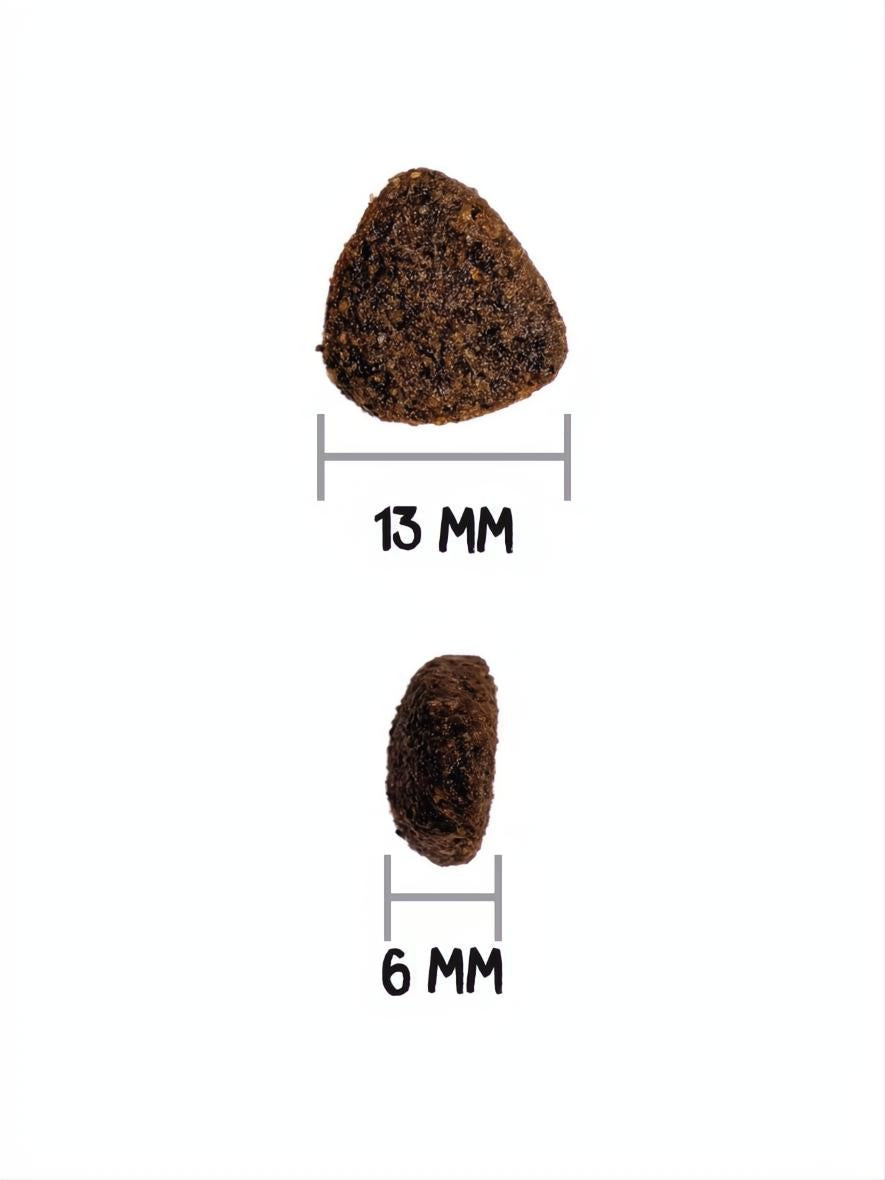 OWNAT GF Just Adult Chicken kibble, dark brown, 13mm wide and 6mm thick, shown from top and side.