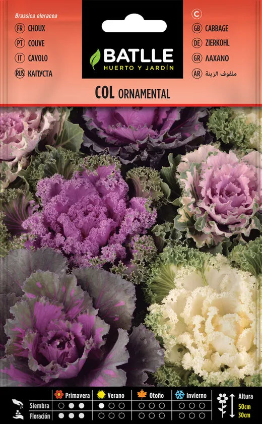 COL ORNAMENTAL