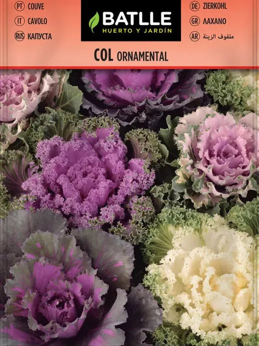 COL ORNAMENTAL