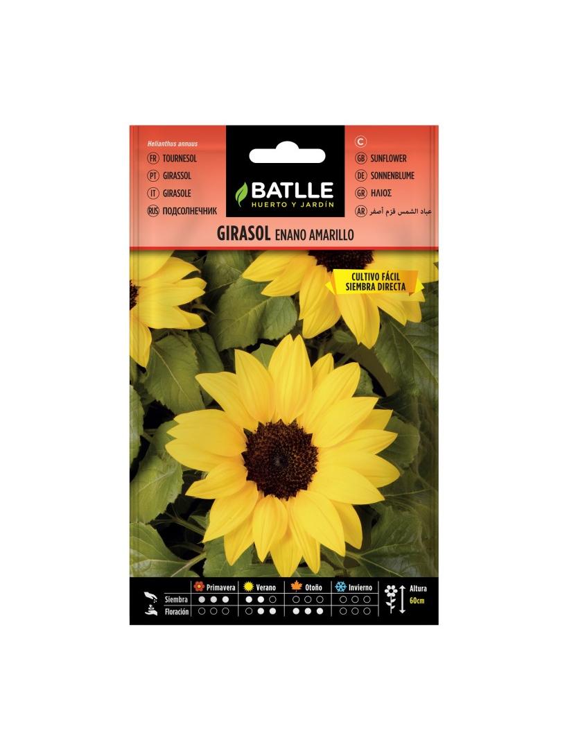 GIRASOL ENANO AMARILLO