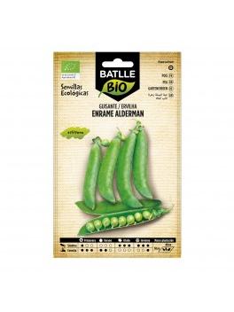 GUISANTE ALDERMAN ECO