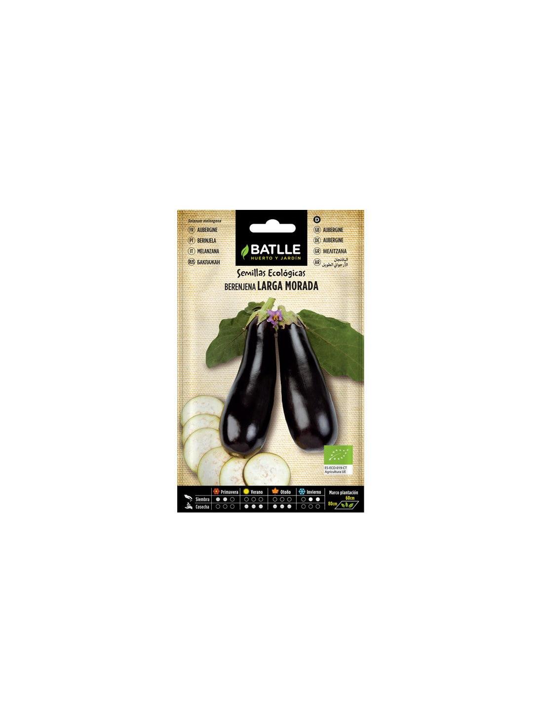 BERENJENA LARGA MORADA-ECO