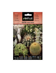 CACTUS VARIADOS