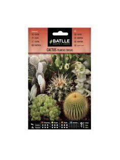 CACTUS VARIADOS