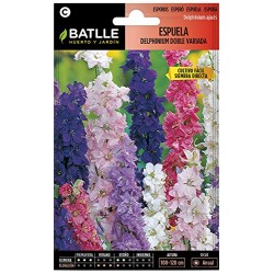ESPUELA DELPHINIUM DOBLE VDA