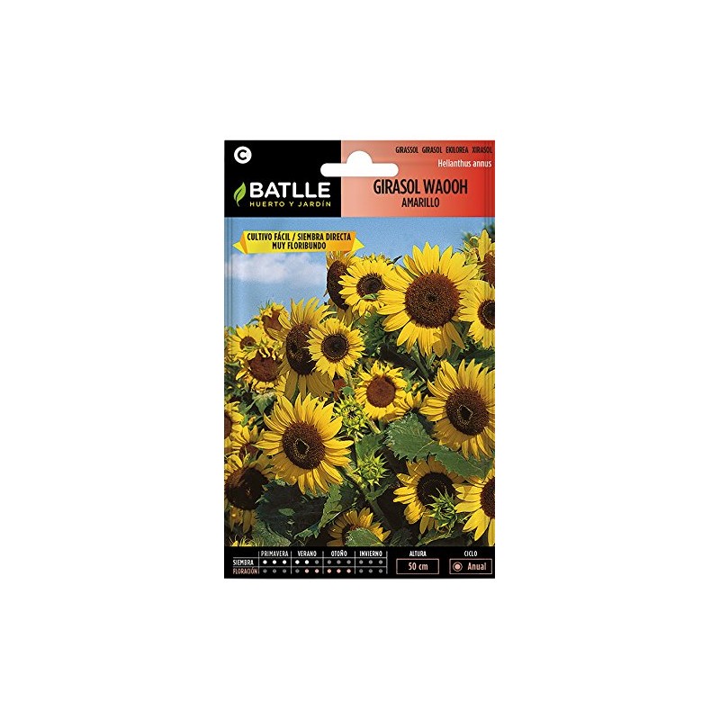 GIRASOL WAHOO AMARILLO