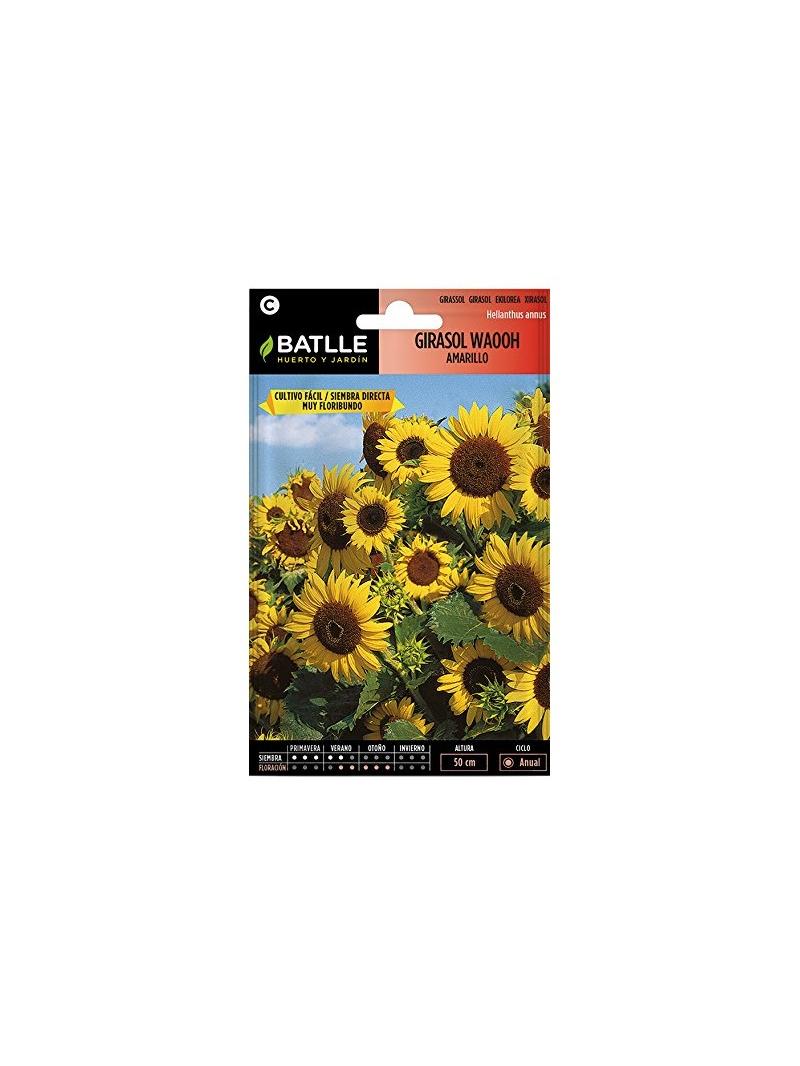 GIRASOL WAHOO AMARILLO