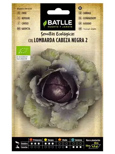COL LOMBARDA ECOLOGICA