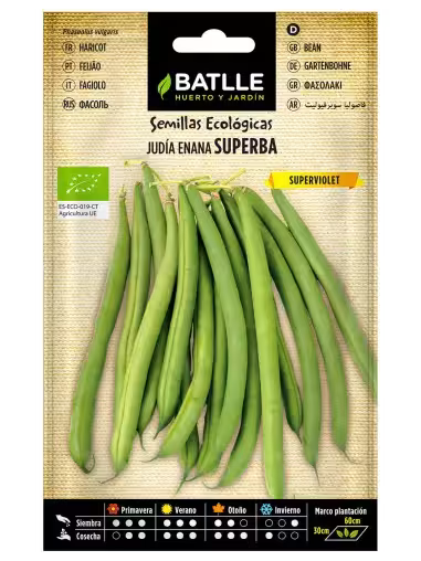 JUDIA SUPERVIOLET ECO